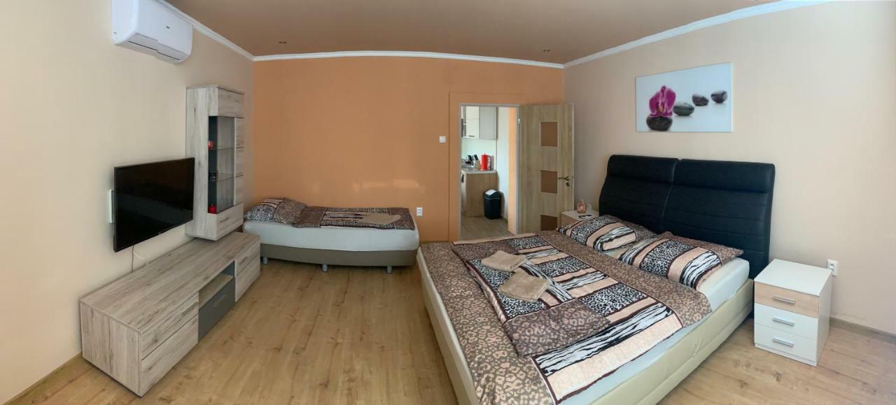 Štúrovo Apartmany Dimitra מראה חיצוני תמונה
